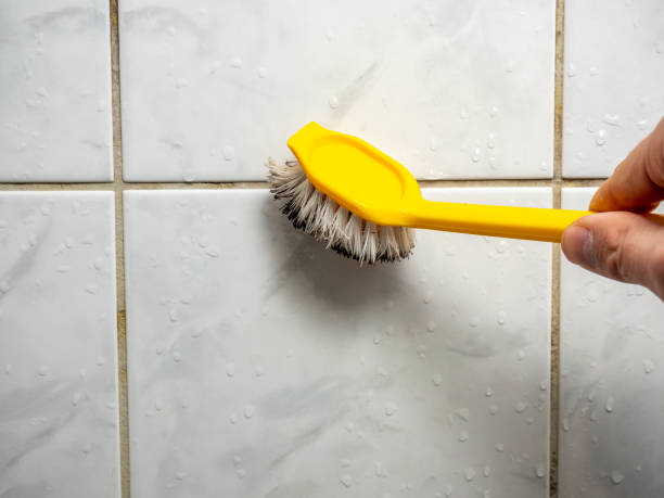 Best Residential Mold Remediation in Eagan, MN